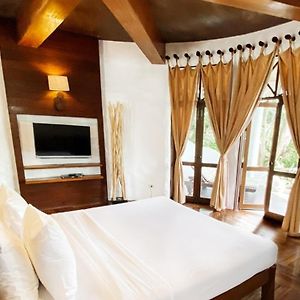 Terra Patio Villa
